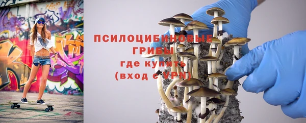 хмурый Армянск