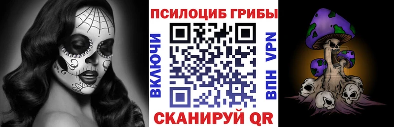 Псилоцибиновые грибы Psilocybe  omg зеркало  Карабаново  цены  